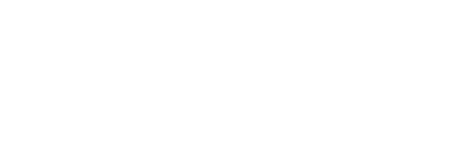 remi builders ltd logo upscaled white